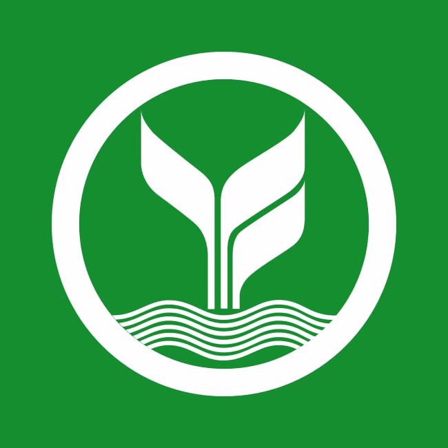 halo555