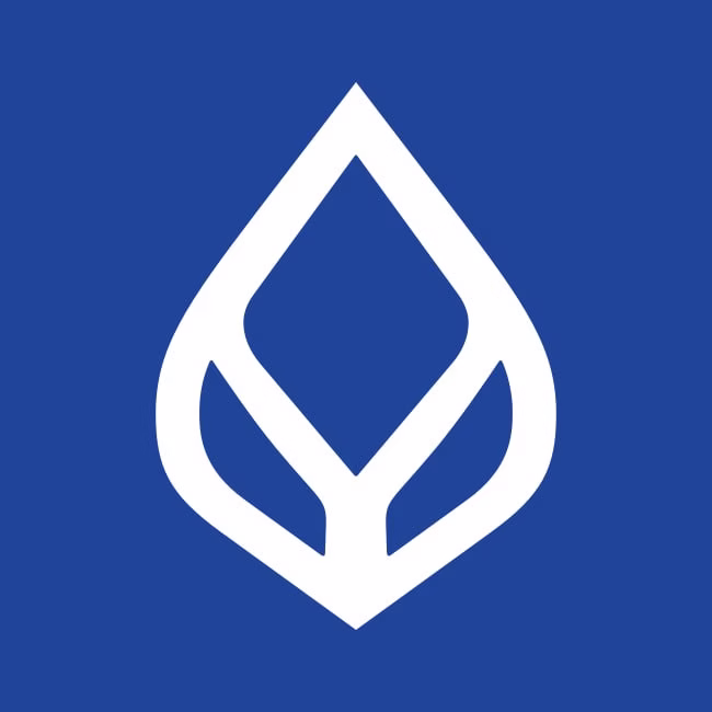 halo555